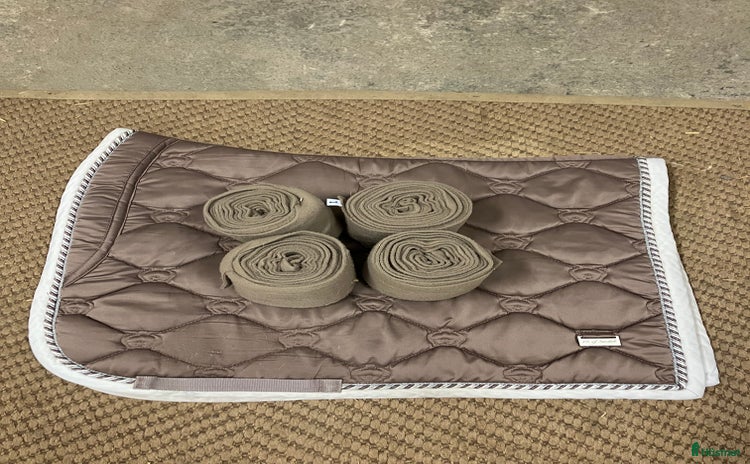 Schabrak & Vojlockar hästutrustning till salu i Järna - Annons 15