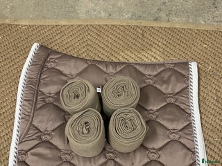 Schabrak & Vojlockar hästutrustning till salu: PS of sweden set i Järna - Annons 4