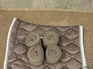 Schabrak & Vojlockar hästutrustning till salu: PS of sweden set i Järna - Annons 4