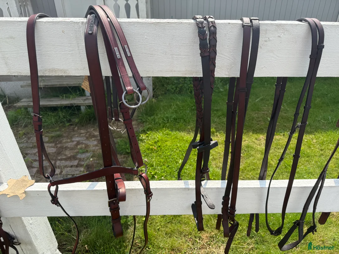 Övrig Hästutrustning hästutrustning till salu: Sadelkammarrensning i Linköping - Annons 8