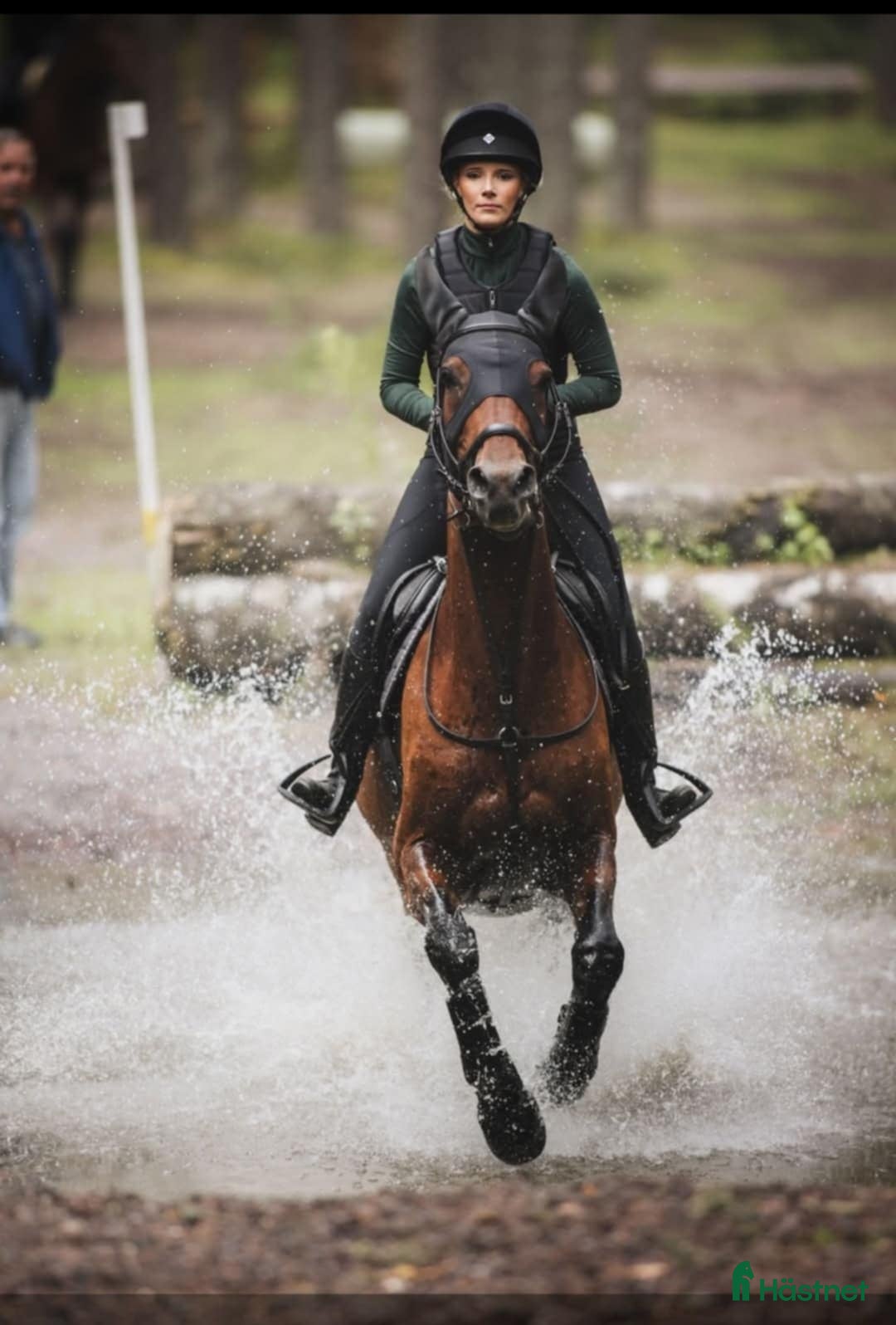  hästar Trevligt sto - Annons 2
