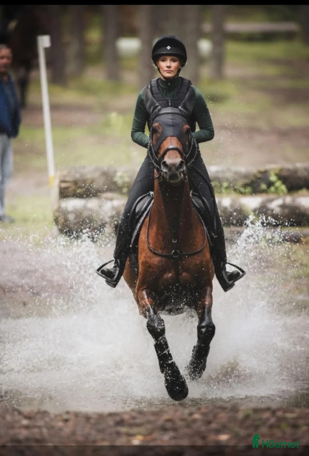 Hoppning hästar till salu: Trevligt sto i Karlstad - Annons 2