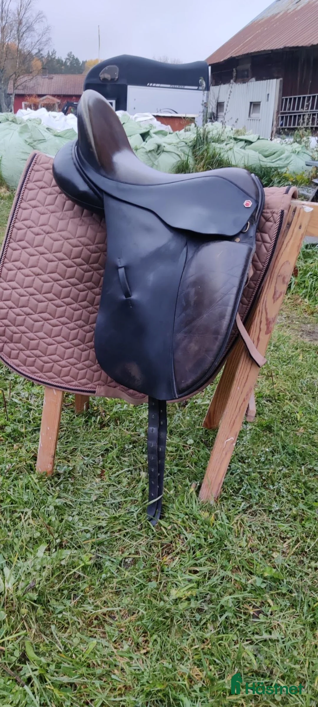 Sadlar hästutrustning till salu: Albion Classic Comfort 17" - Annons 2