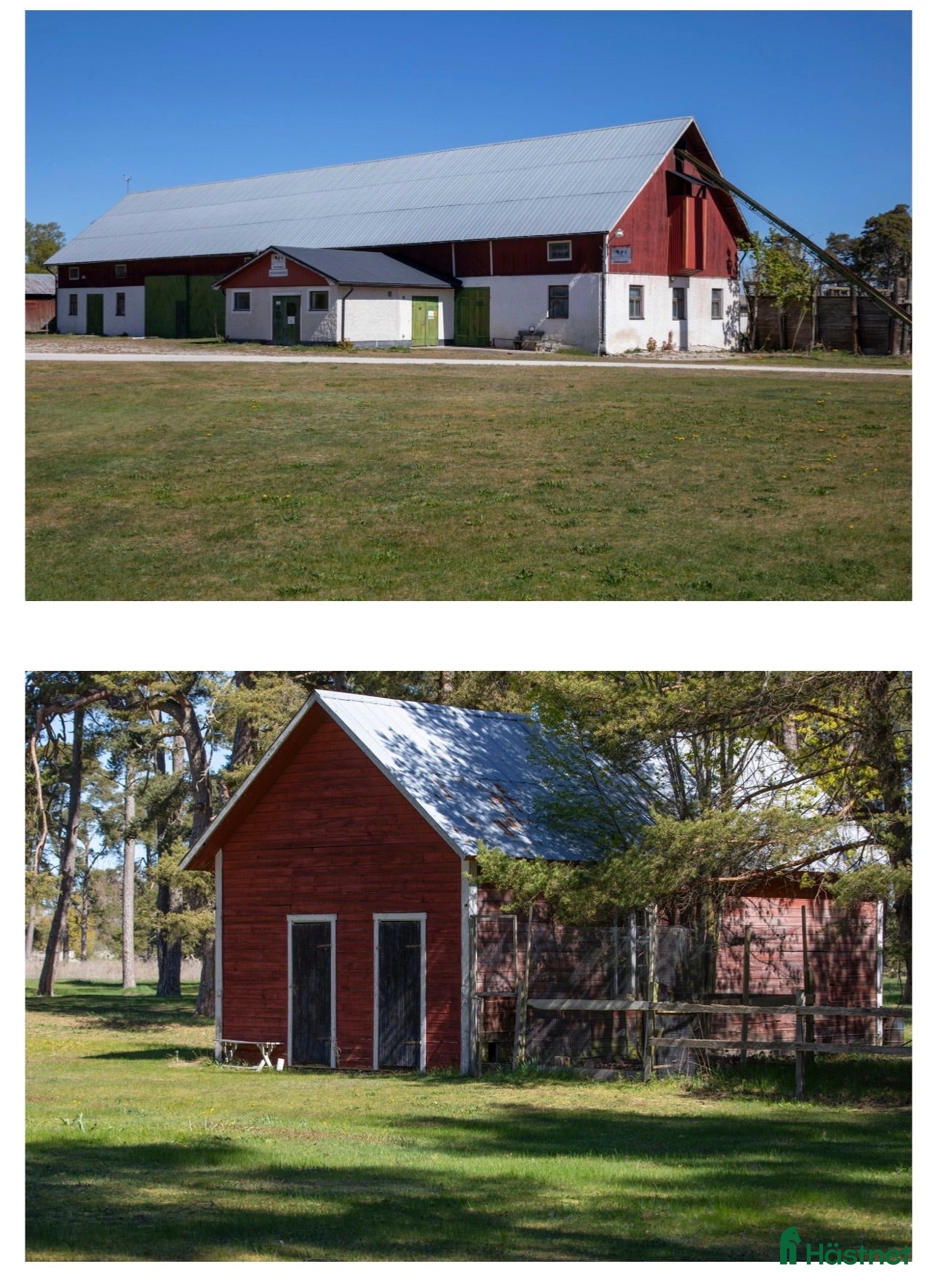  hästgårdar till salu: Kalkstensgård på Gotland plats för hästhållning - Annons 2