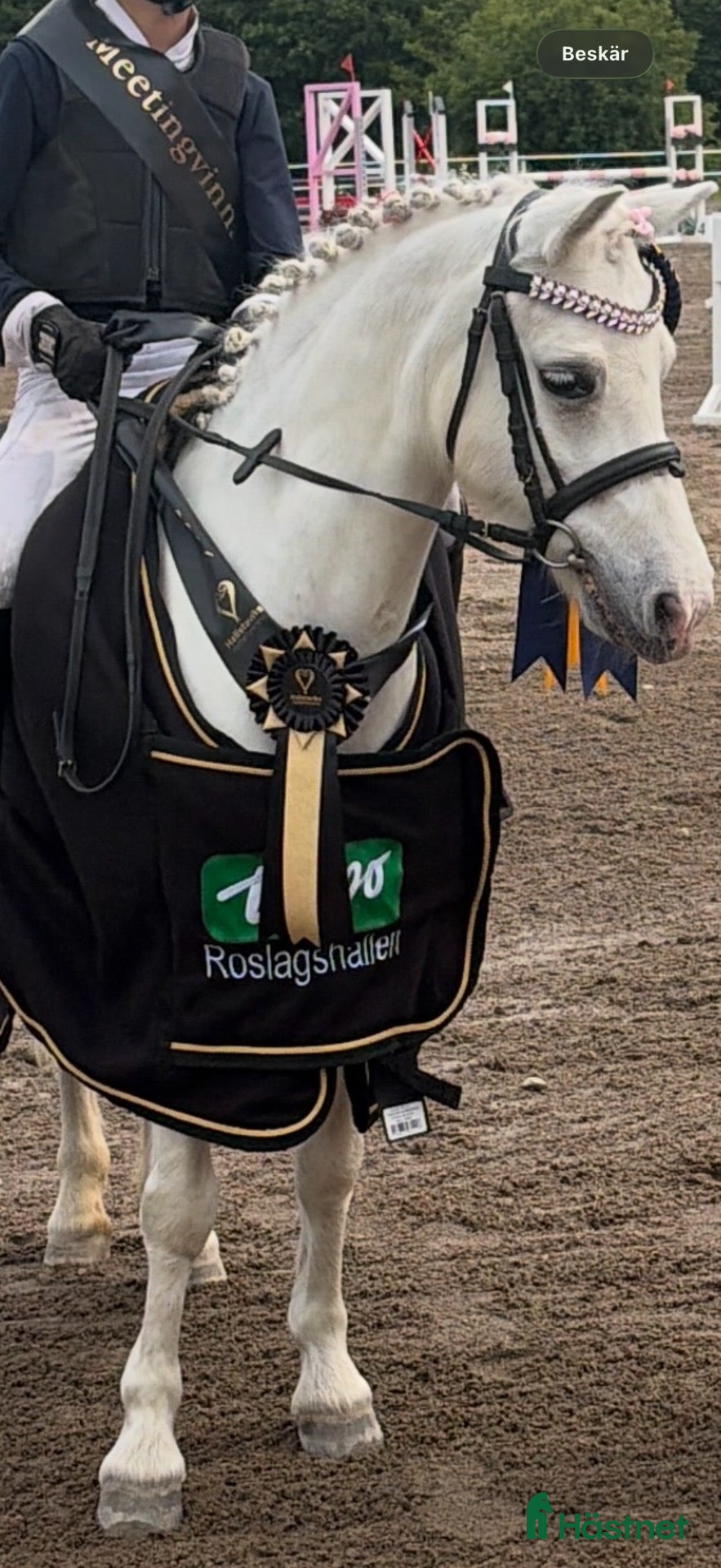  hästar Megan - Annons 3