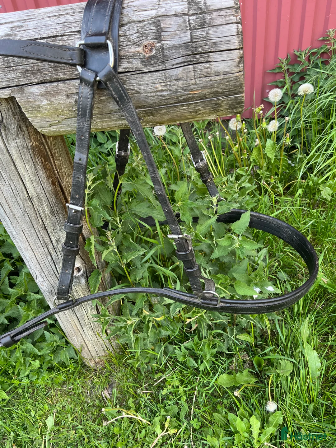 Körselar körning till salu: Loksele samt baksele och huvudlag till ponny - Annons 2