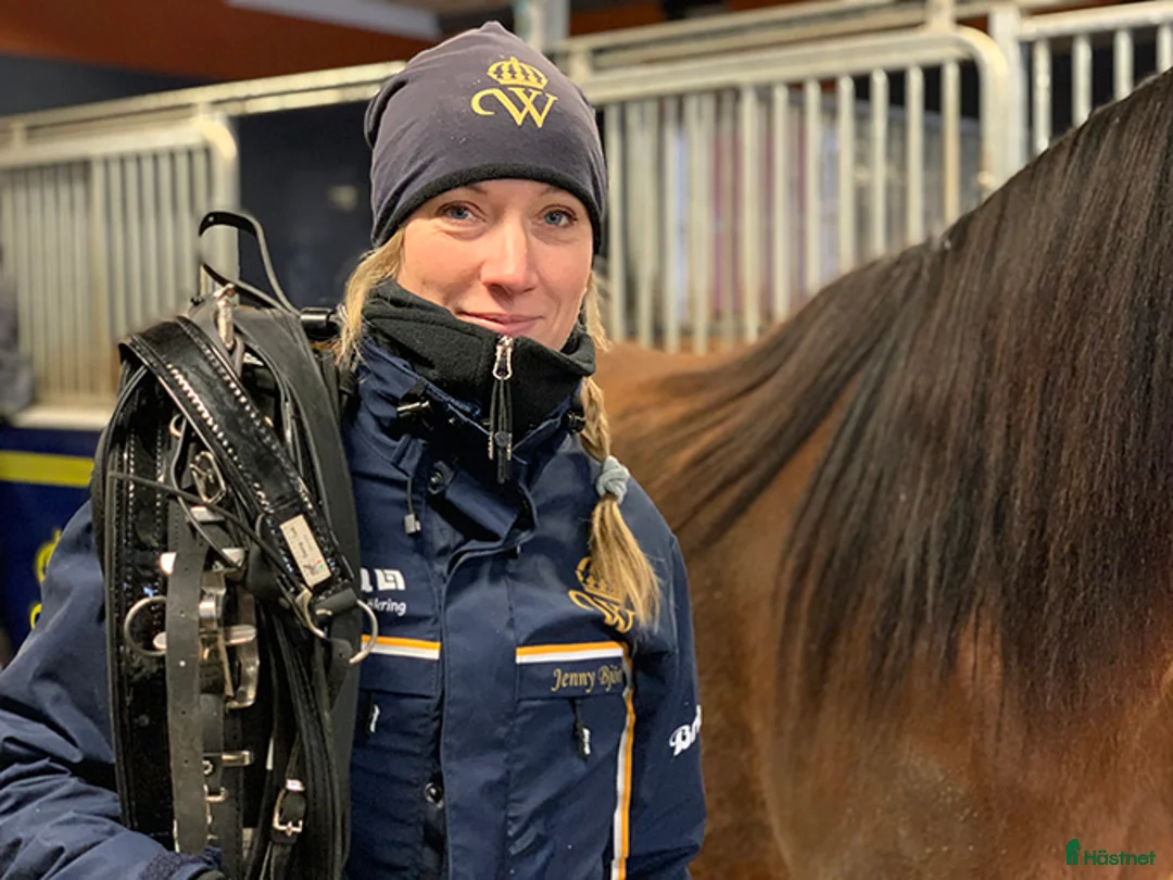  hästservice finnes: Bli hästskötare och få jobb i travstall - Annons 1