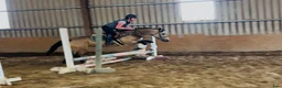 Allround hästar till salu: Easy 148 pony - Annons 5