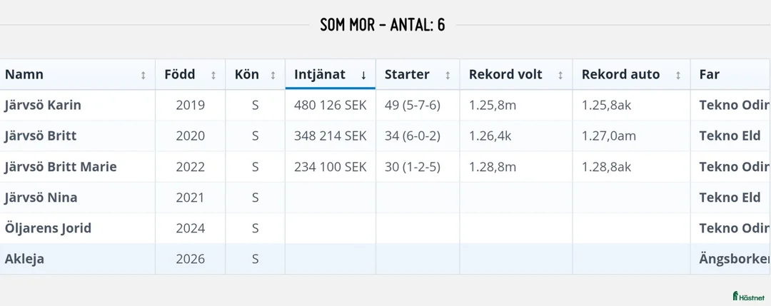 Trav hästar till salu: Tjej med potential  - Annons 7