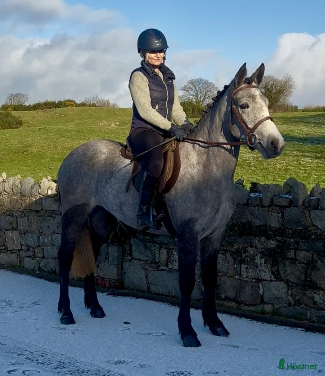 Allround hästar till salu: Beautiful Connemara Filly i Stockholm - Annons 8