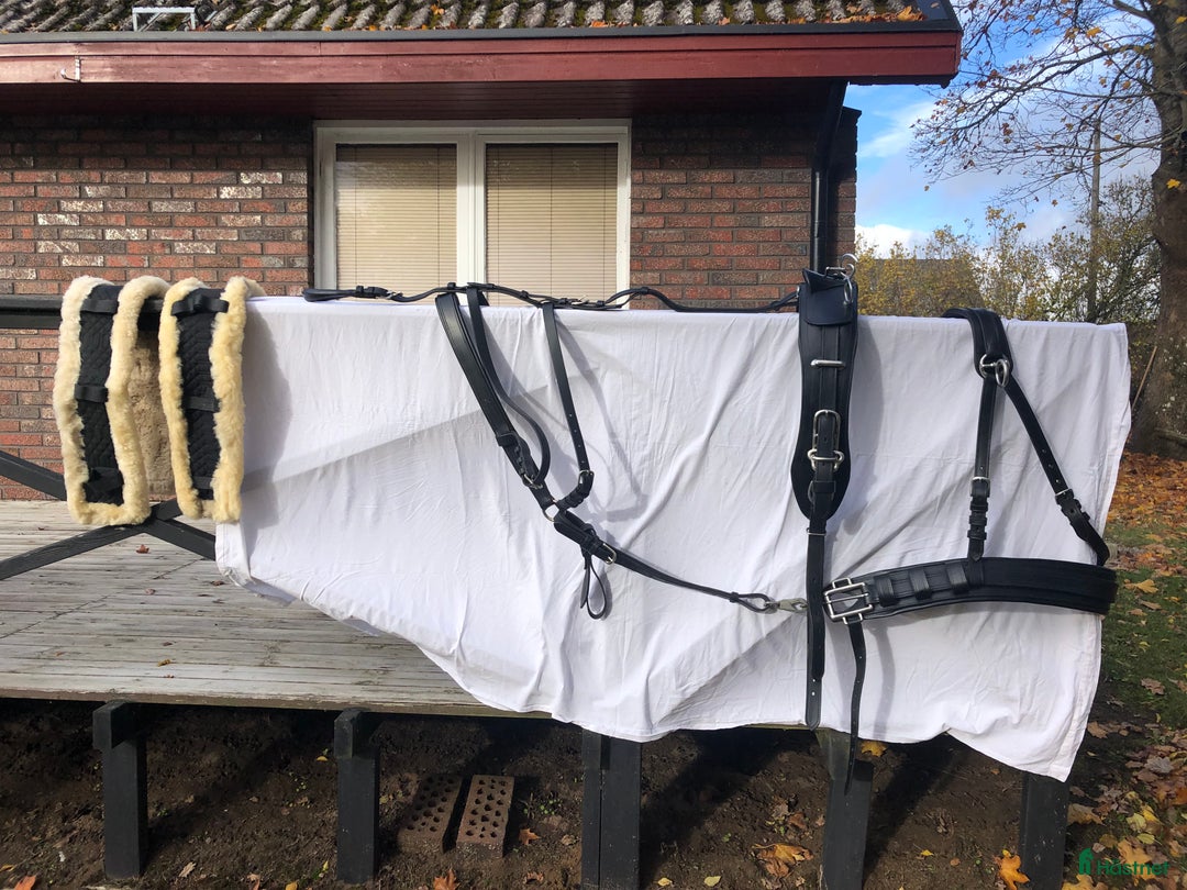 Körselar körning till salu: Kör utrustning stl X-full i Vara - Annons 2