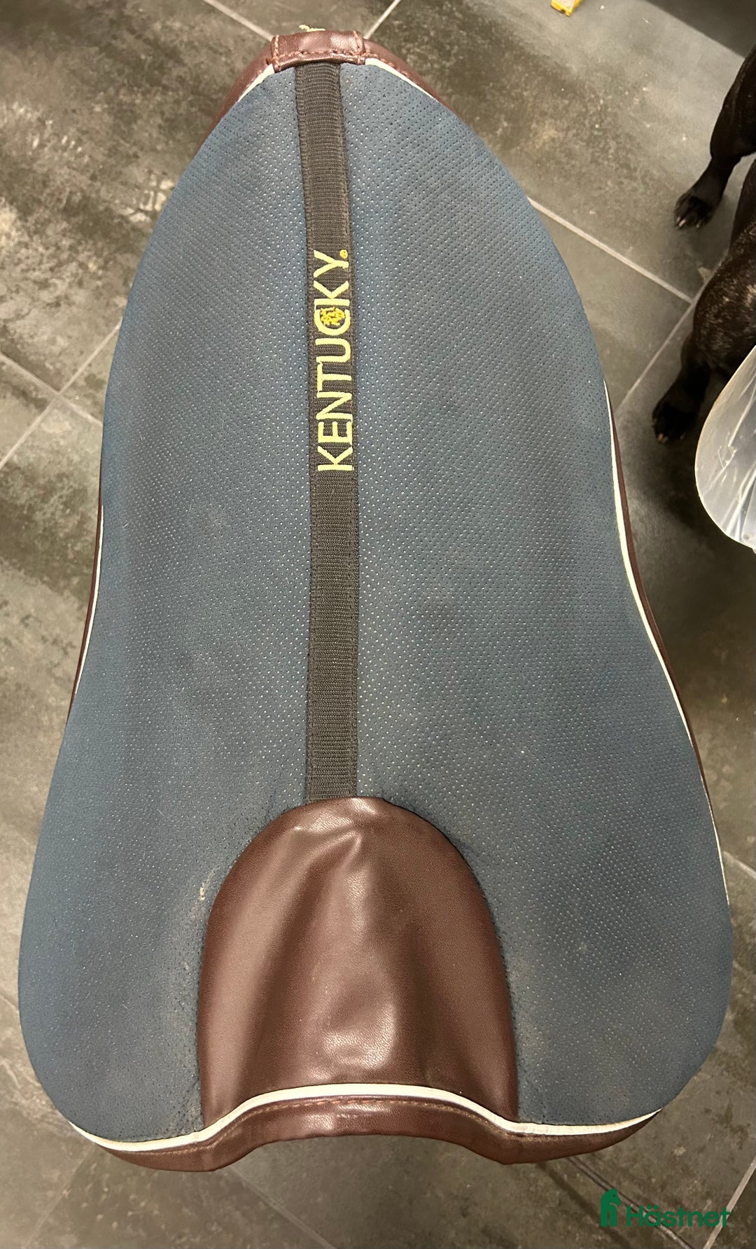Sadeltillbehör hästutrustning till salu: Sadelpadd Absorb - Kentucky i Dösjebro - Annons 4