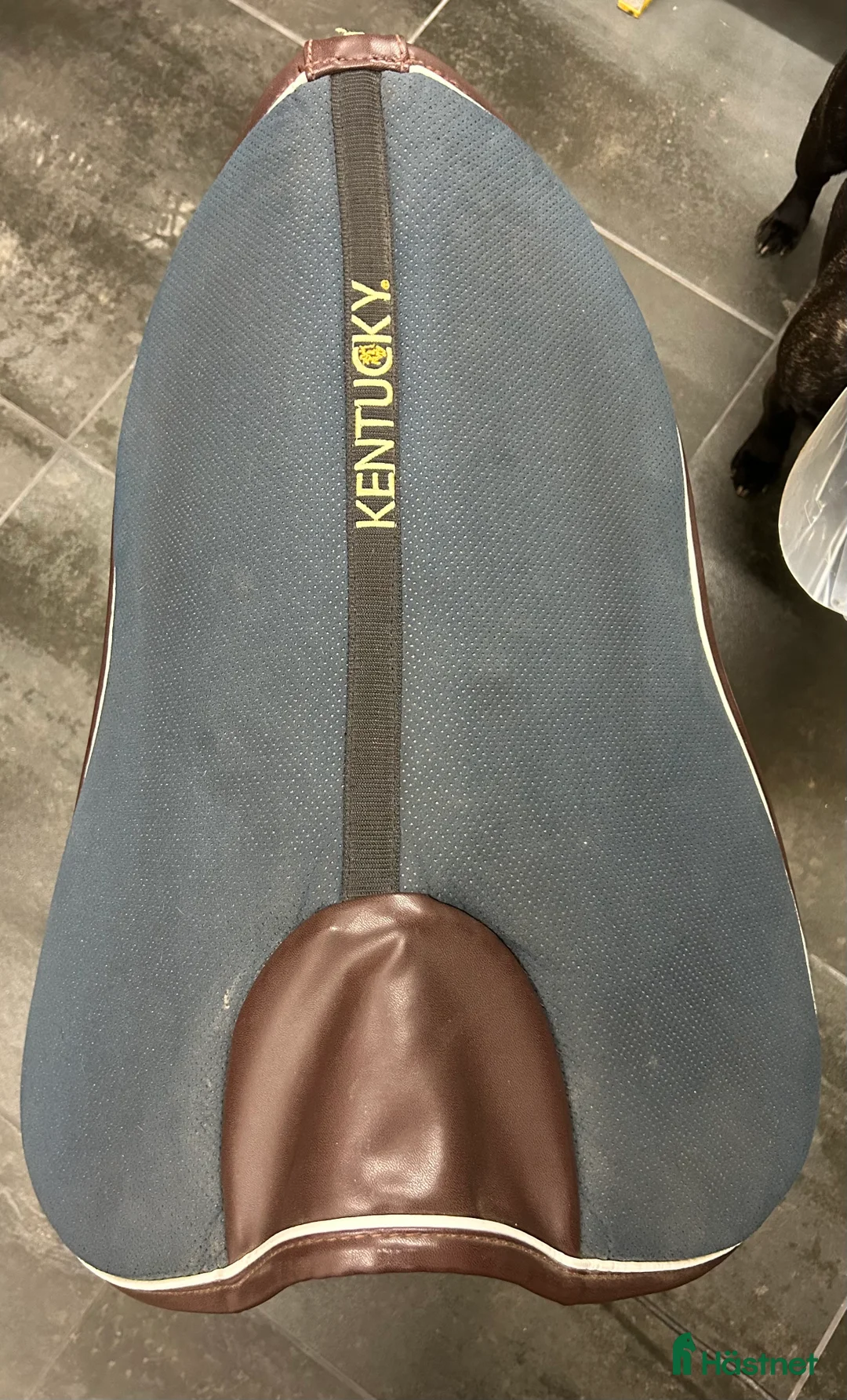 Sadeltillbehör hästutrustning till salu: Sadelpadd Absorb - Kentucky i Dösjebro - Annons 4