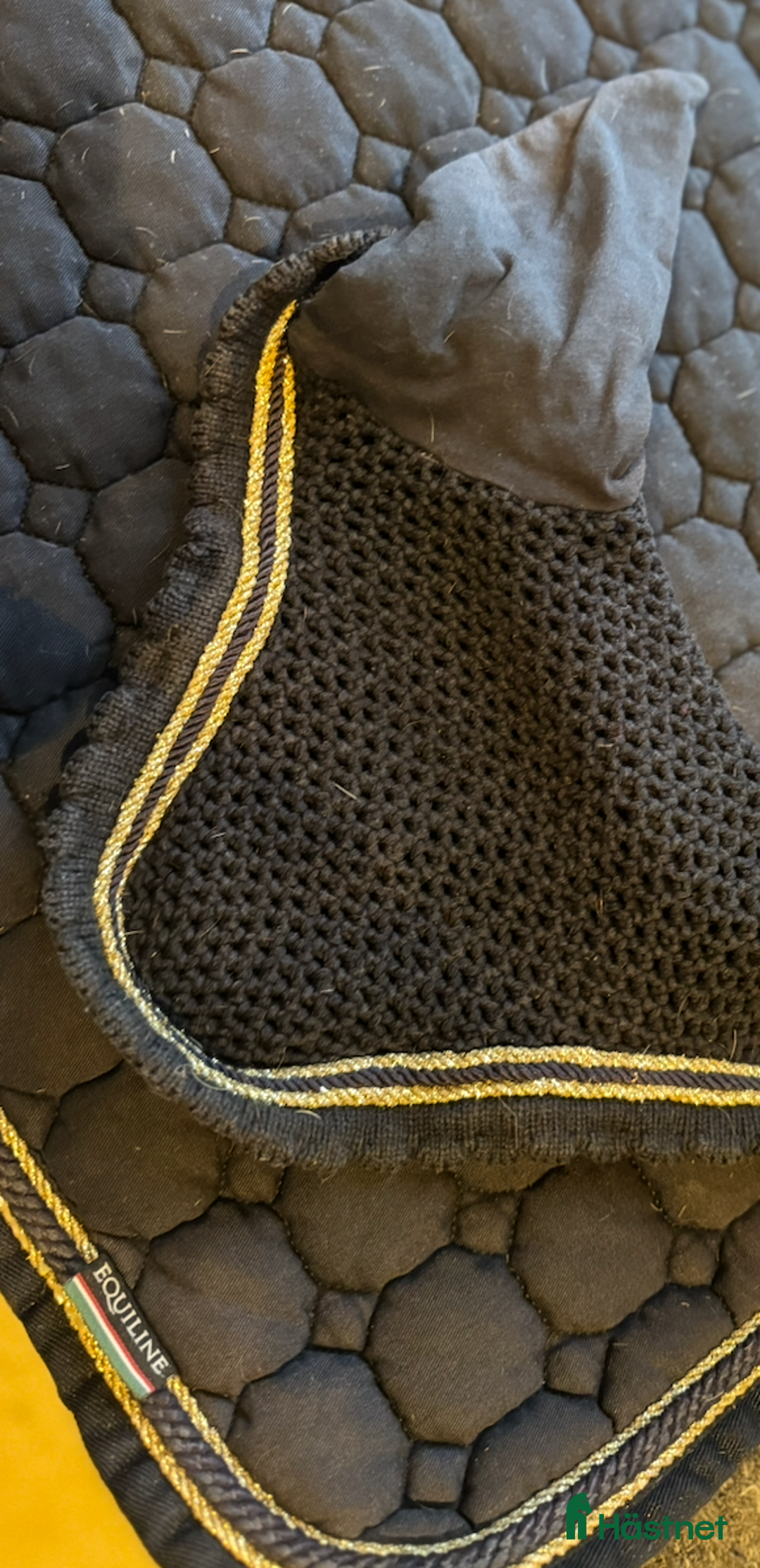 Schabrak & Vojlockar hästutrustning till salu: Equestrian Stockholm Equiline Veredus Kentucky i Vittinge - Annons 2