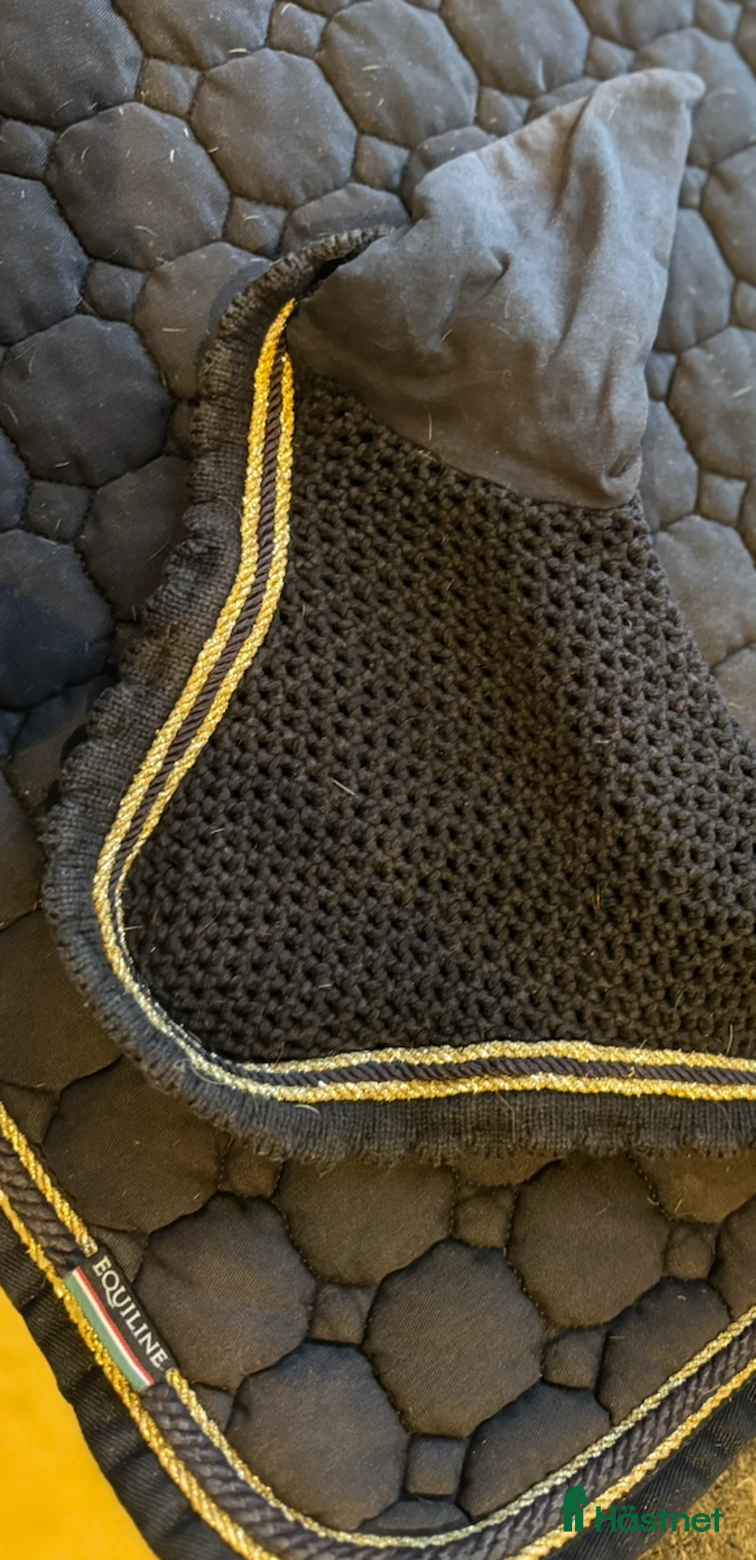 Schabrak & Vojlockar hästutrustning till salu: Equestrian Stockholm Equiline Veredus Kentucky i Vittinge - Annons 2