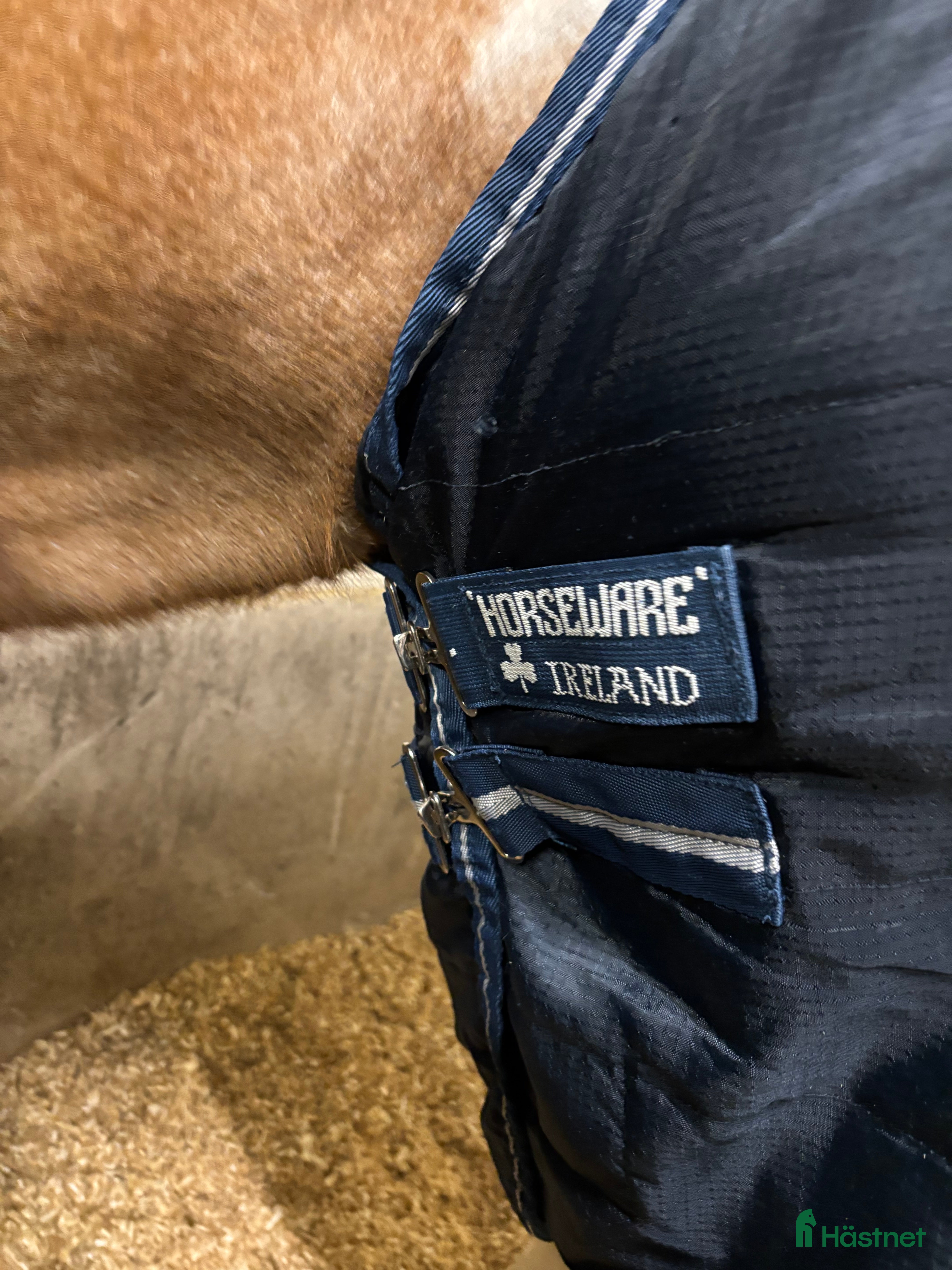 Täcken hästutrustning till salu: Horseware Amigo C-ponny i Oxelösund - Annons 1