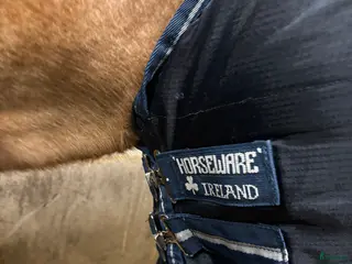 Täcken hästutrustning till salu: Horseware Amigo C-ponny i Oxelösund - Annons 1