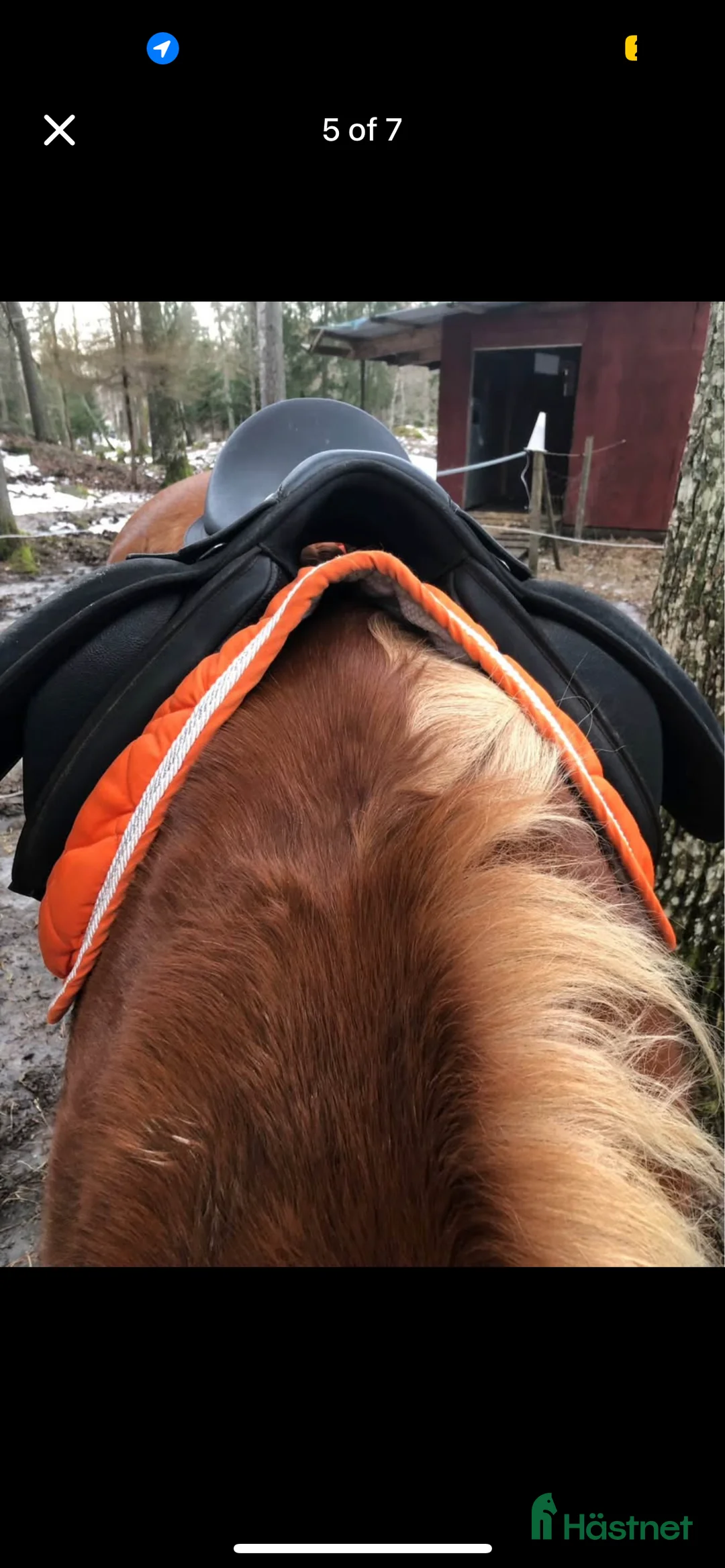 Sadlar hästutrustning till salu: Sadel wintec i Gustavsberg - Annons 5