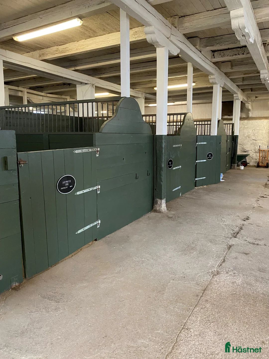  stallplats finnes: Hästhotell i Stockholm, nära Kapellskär - Annons 1