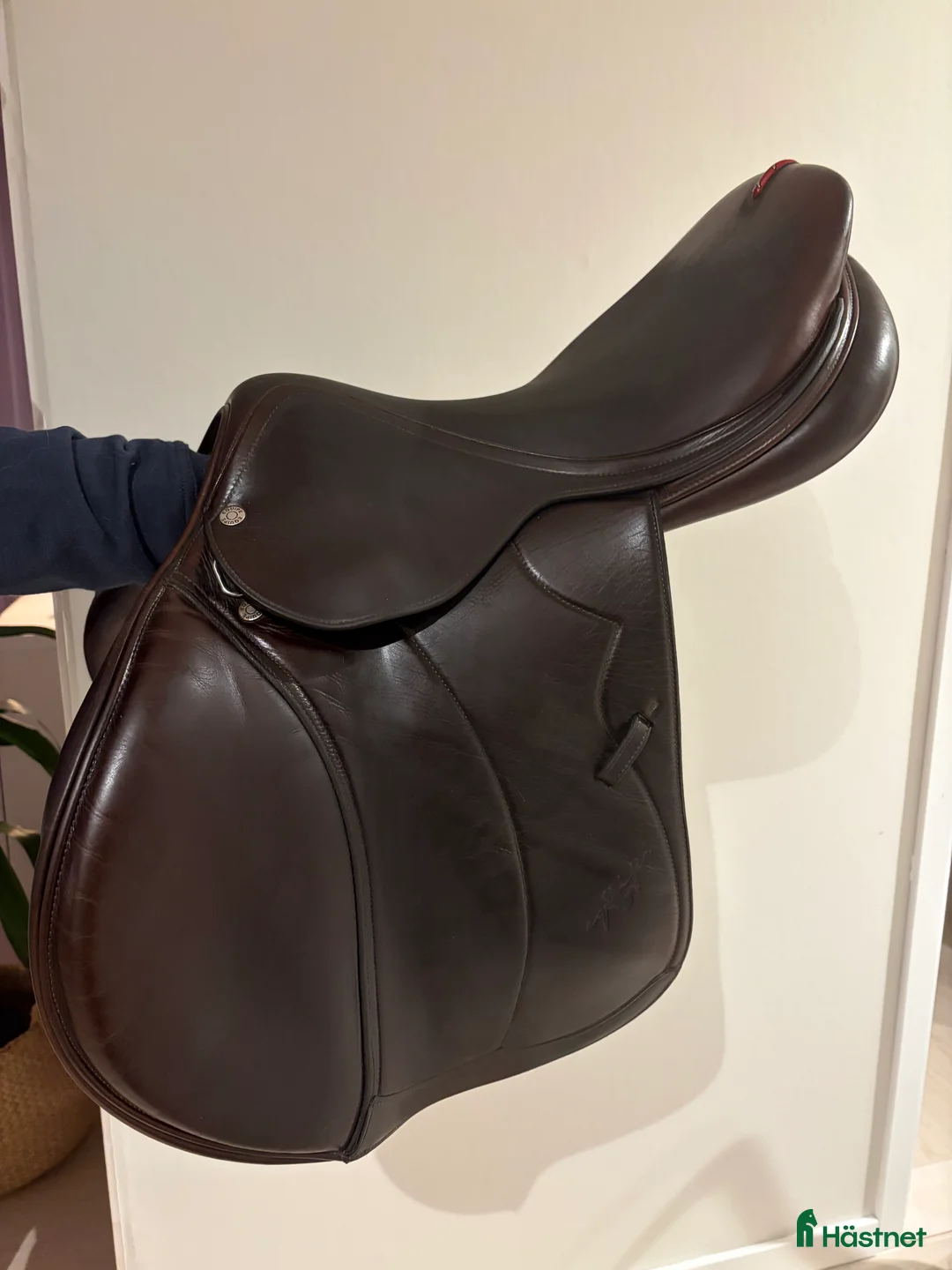 Sadlar hästutrustning till salu: Equipe evolution i Länghem - Annons 3