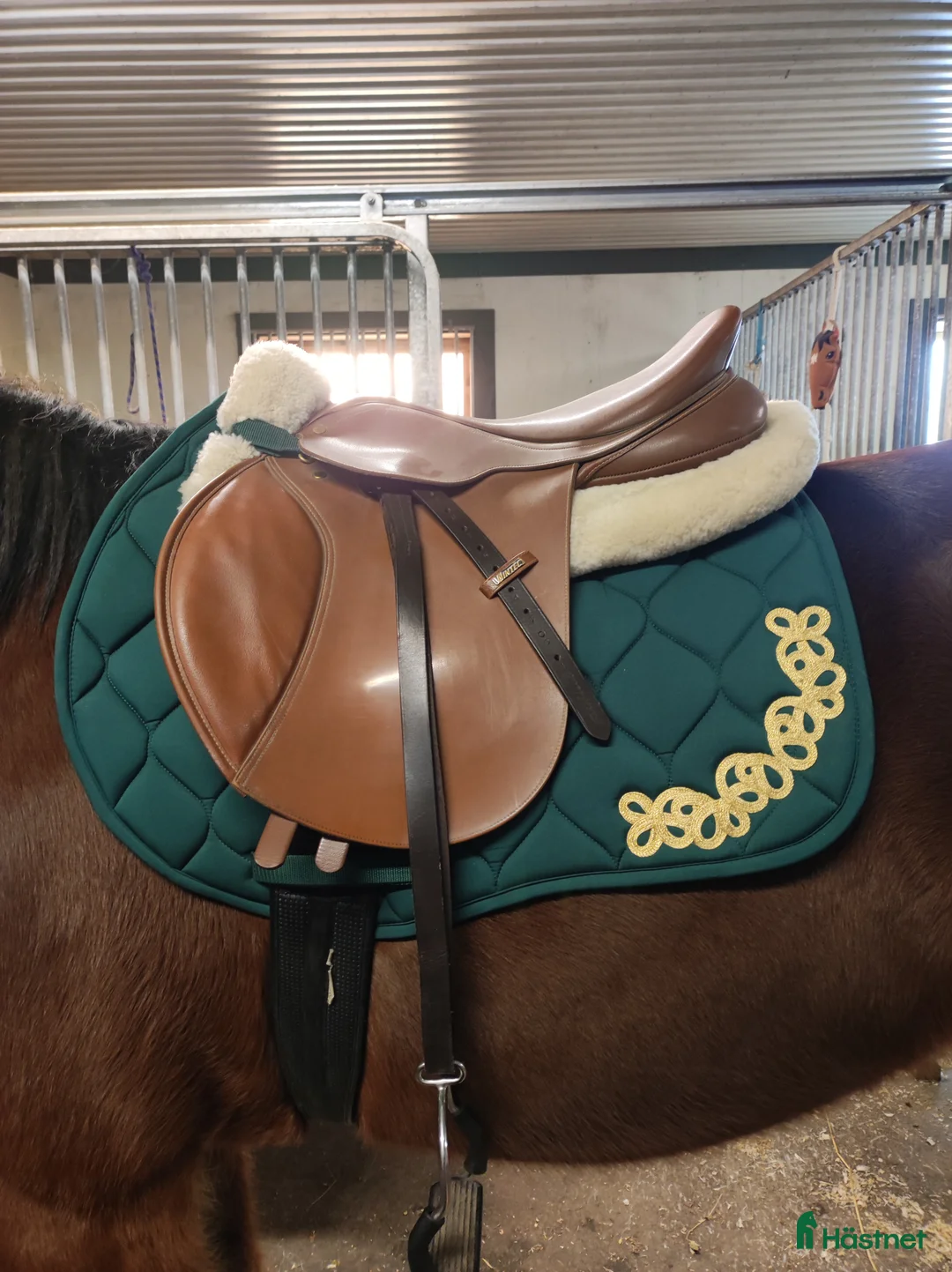 Sadlar hästutrustning till salu: Wintec hoppsadel  - Annons 1