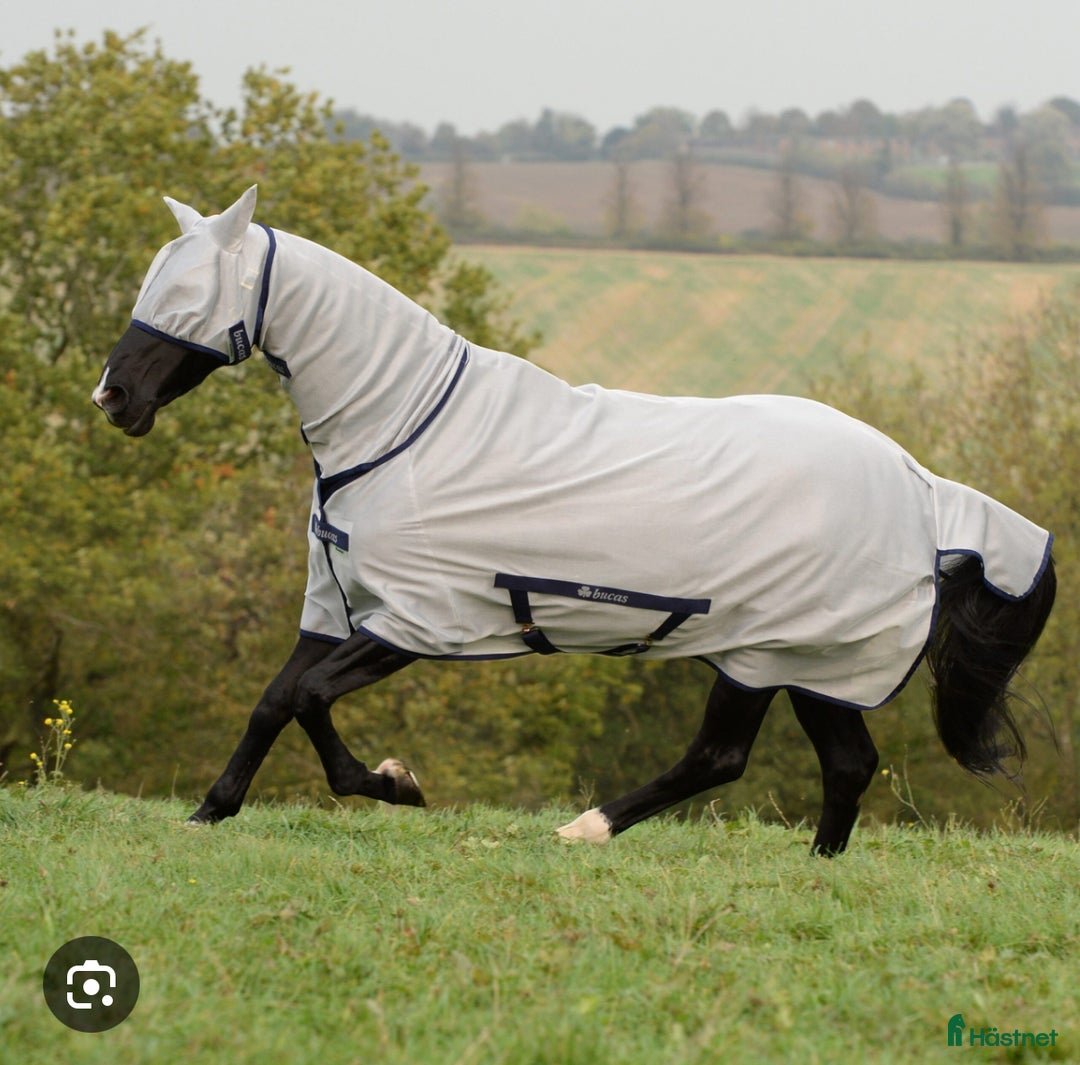 Täcken hästutrustning till salu: Flugtäcke i Borås - Annons 1
