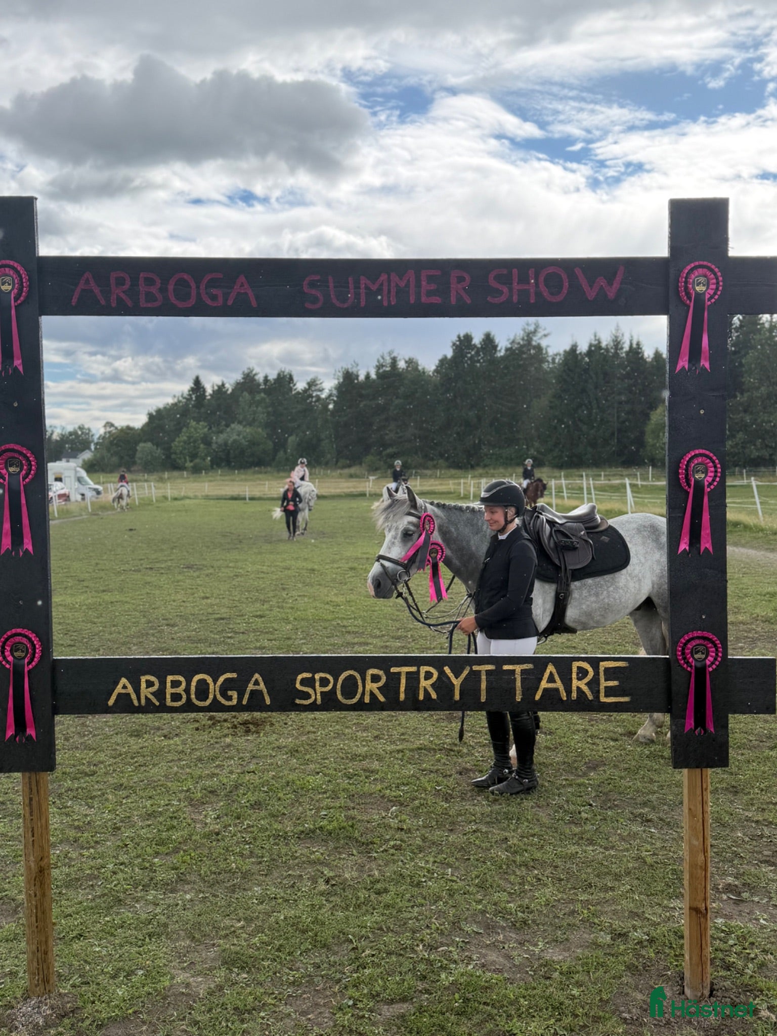  hästar 6-årig c-ponny med kapacitet - Annons 2