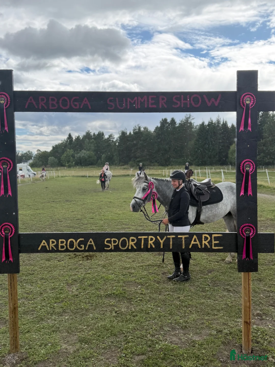 Hoppning hästar till salu: 6-årig c-ponny med kapacitet - Annons 2