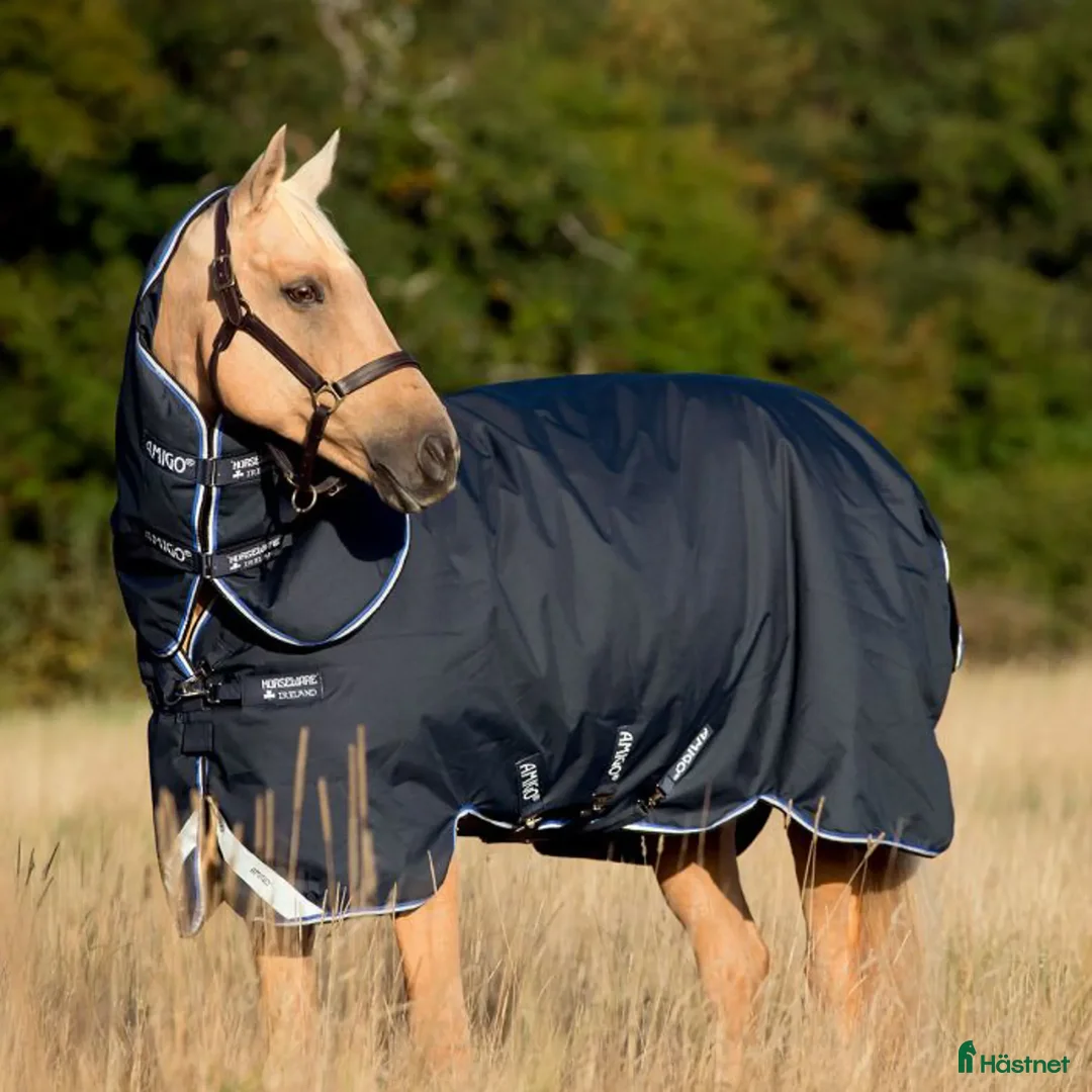 Täcken hästutrustning till salu: Amigo Bravo plus TO 0g med hals i Täby - Annons 1