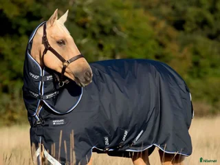 Täcken hästutrustning till salu: Amigo Bravo plus TO 0g med hals i Täby - Annons 7