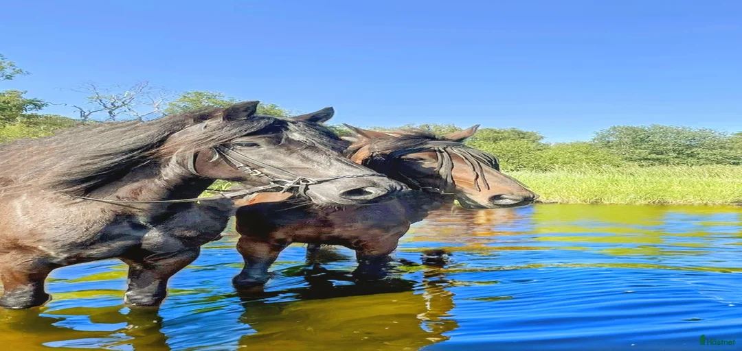 Galleribild {{count}}