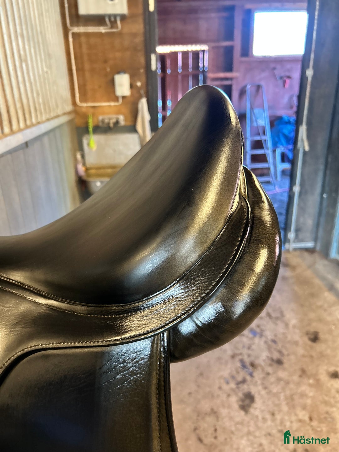 Sadlar hästutrustning till salu: Prestige Denni i Ärla - Annons 8