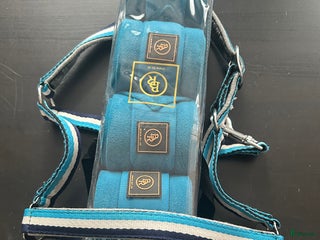 Övrig Hästutrustning hästutrustning till salu: Olika full grimmor med matchende lindor i Vellinge - Annons 5