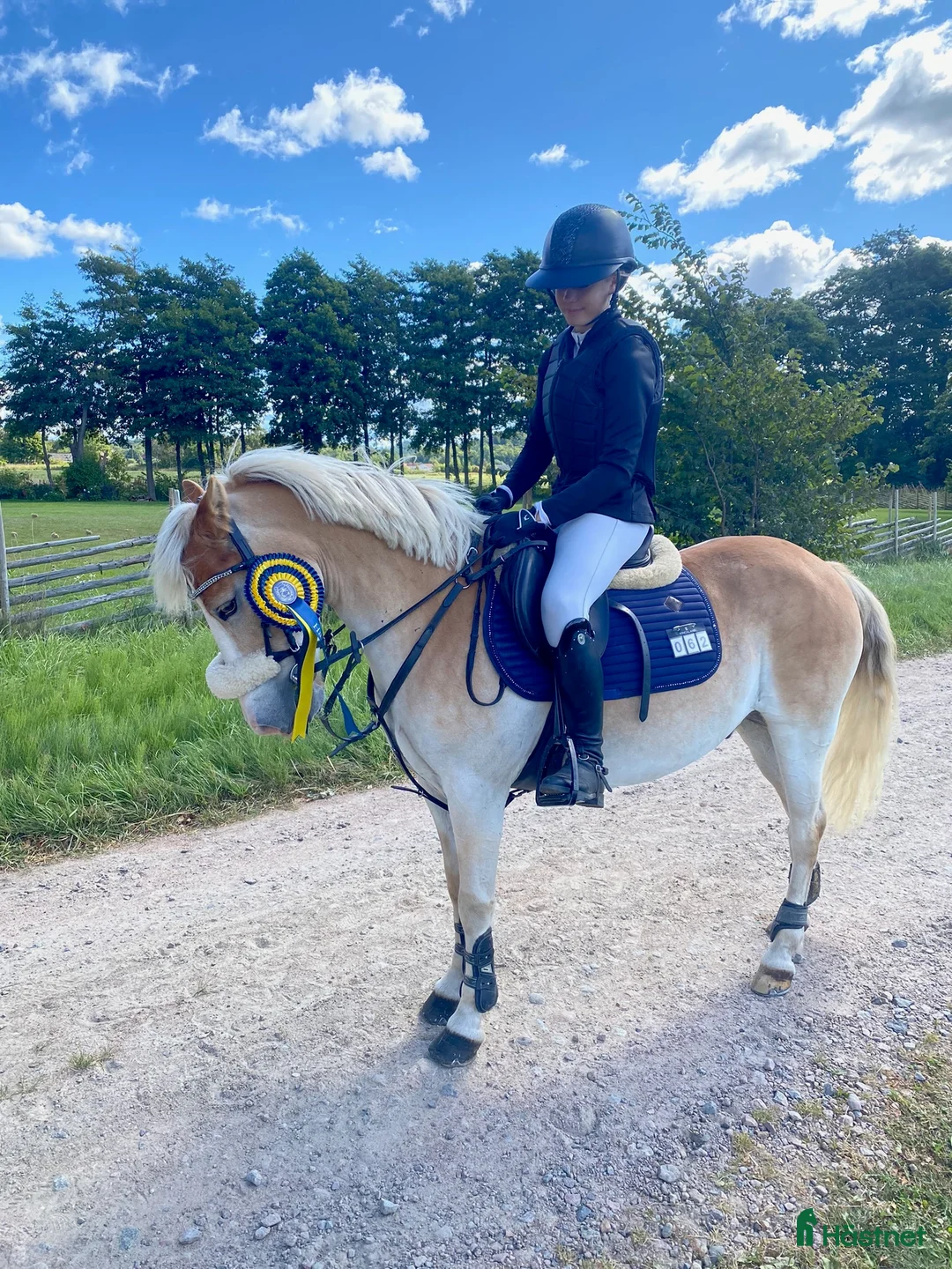 Hoppning hästar till salu: Hoppglad c-ponny  - Annons 2