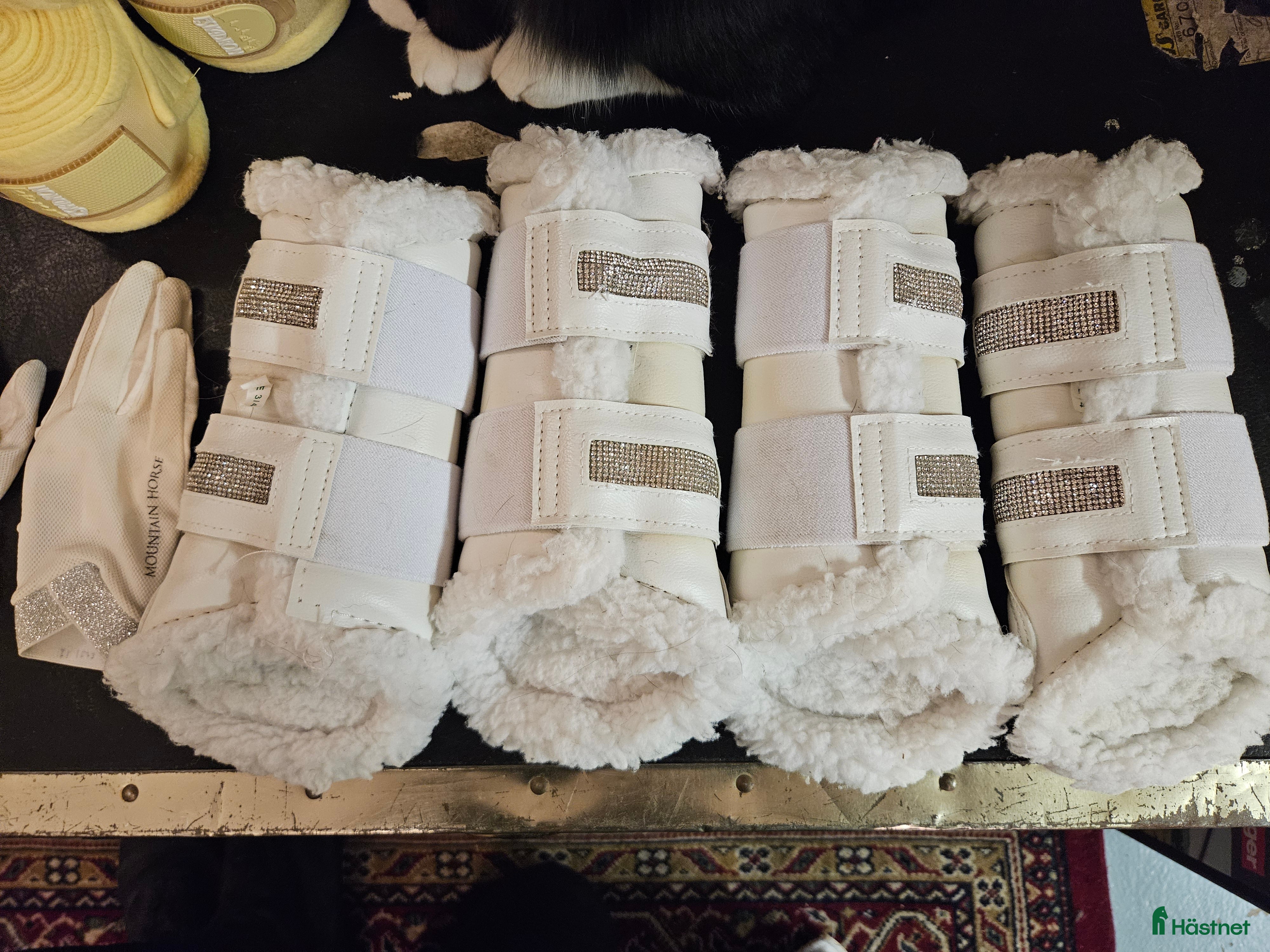 Benskydd hästutrustning till salu: Glittriga benskydd som nya i Svärtinge - Annons 1