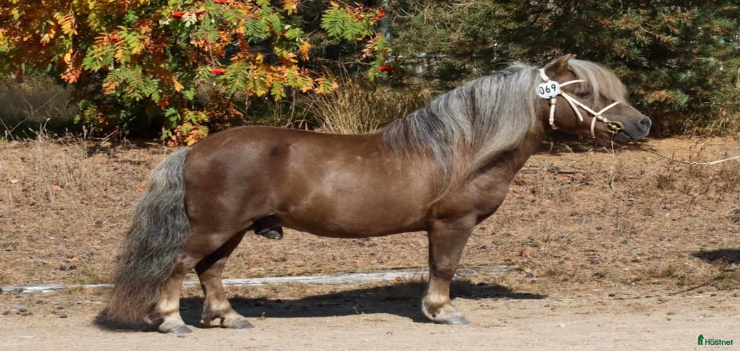 Galleribild {{count}}