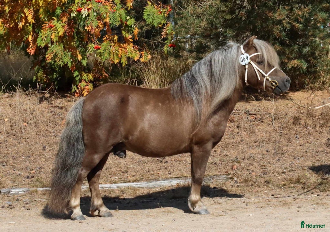 Galleribild {{count}}