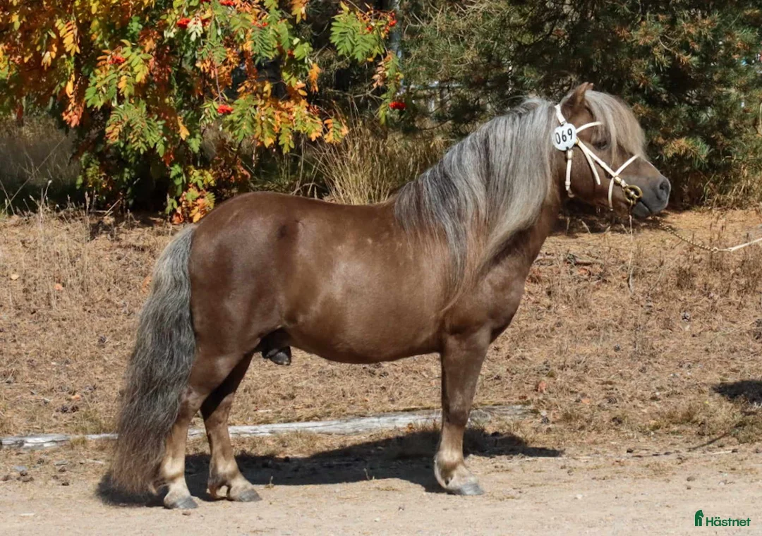 Galleribild {{count}}