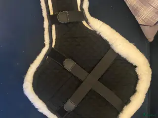 Sadeltillbehör hästutrustning Fårskinns skydd till hopp platta - Annons 1