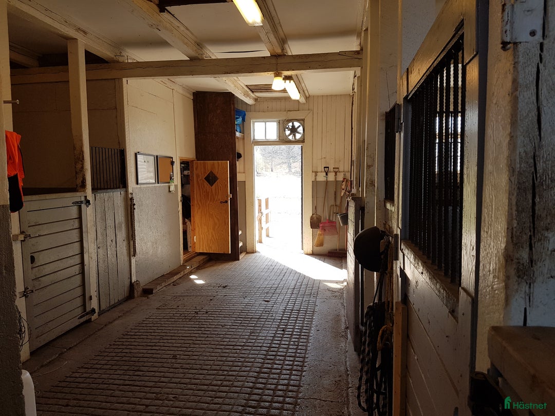  stallplats finnes: Lösdriftsplats för valack, Hedlanda gård,Mariefred i Mariefred - Annons 5