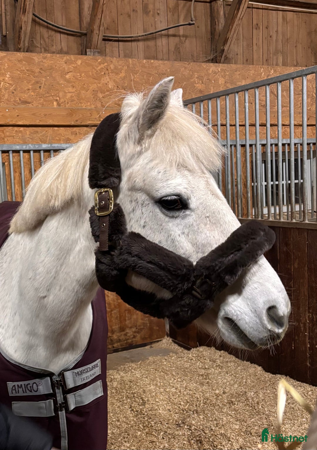 Övrig Hästutrustning hästutrustning till salu: Brun fluff grimma i Växjö - Annons 1