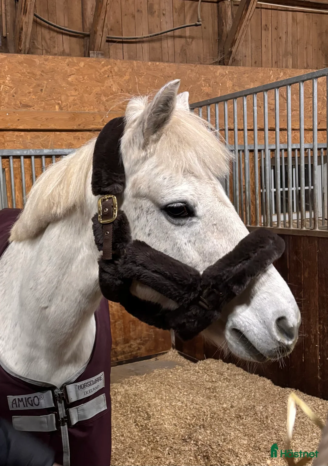 Övrig Hästutrustning hästutrustning till salu: Brun fluff grimma i Växjö - Annons 1