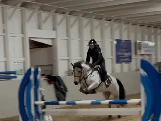 hästar Häftig allroundponny - Annons 1