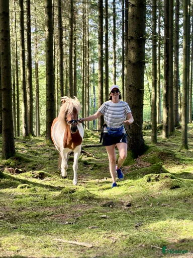 Galleribild {{count}}