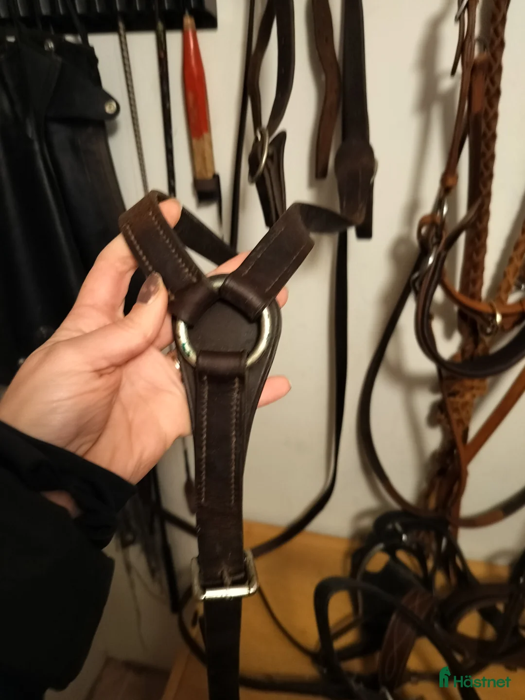 Övrig Hästutrustning hästutrustning till salu: "Militärbrösta" strl liten full i Luleå - Annons 1