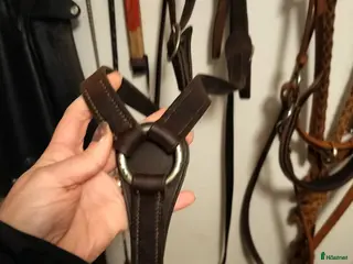 Övrig Hästutrustning hästutrustning till salu: "Militärbrösta" strl liten full i Luleå - Annons 4