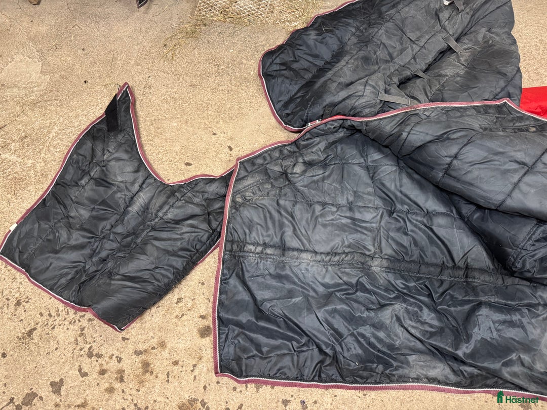 Täcken hästutrustning till salu: EquoIQ Vintertäcke 155  i Toftbyn - Annons 4