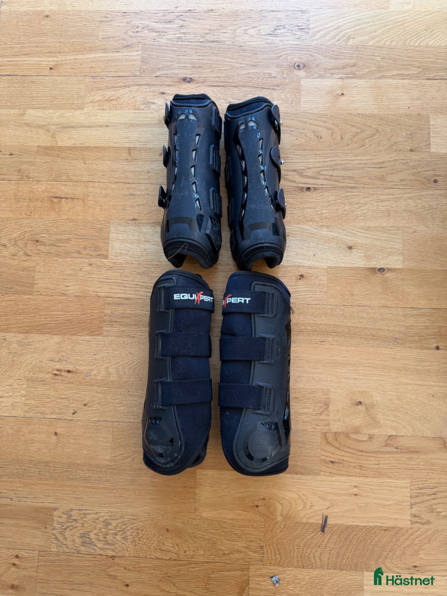 Benskydd hästutrustning Benskydd Equixpert  - Annons 3