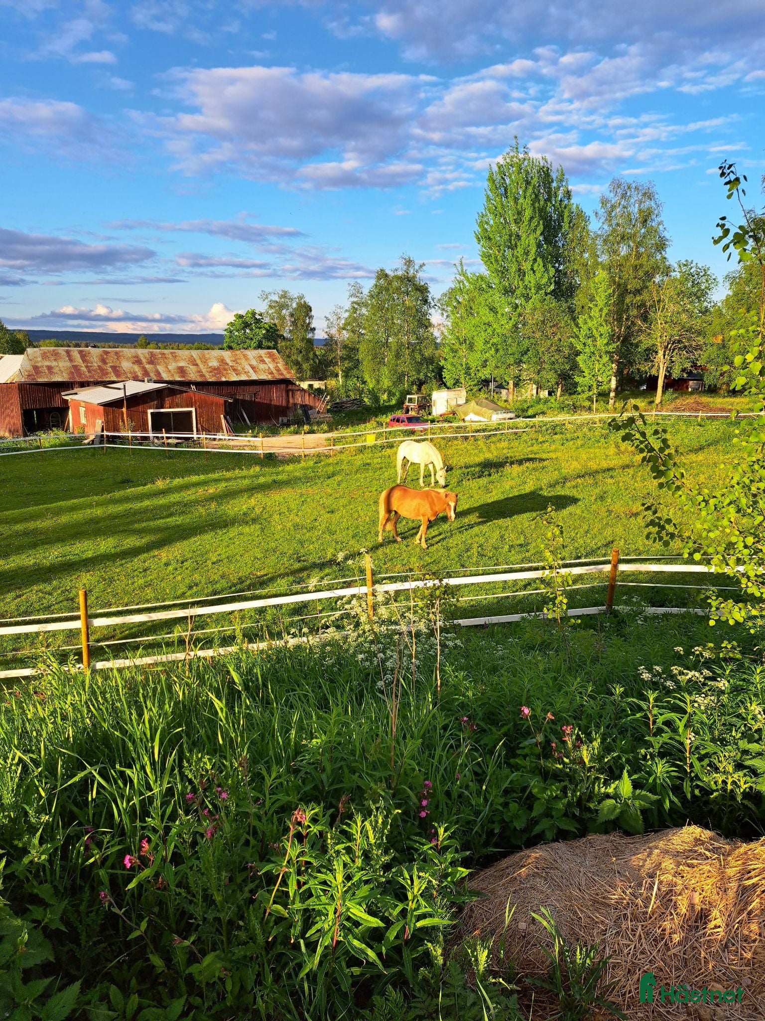  stallplats Stallplats uthyres  - Annons 2
