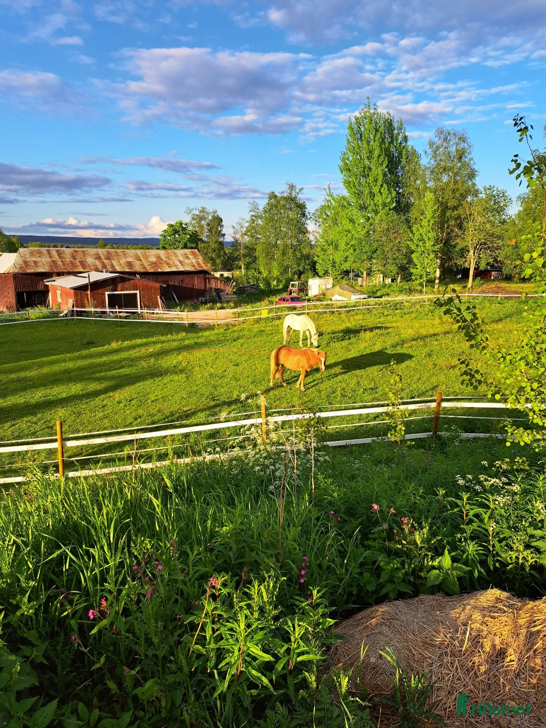  stallplats finnes: Stallplats uthyres  - Annons 1